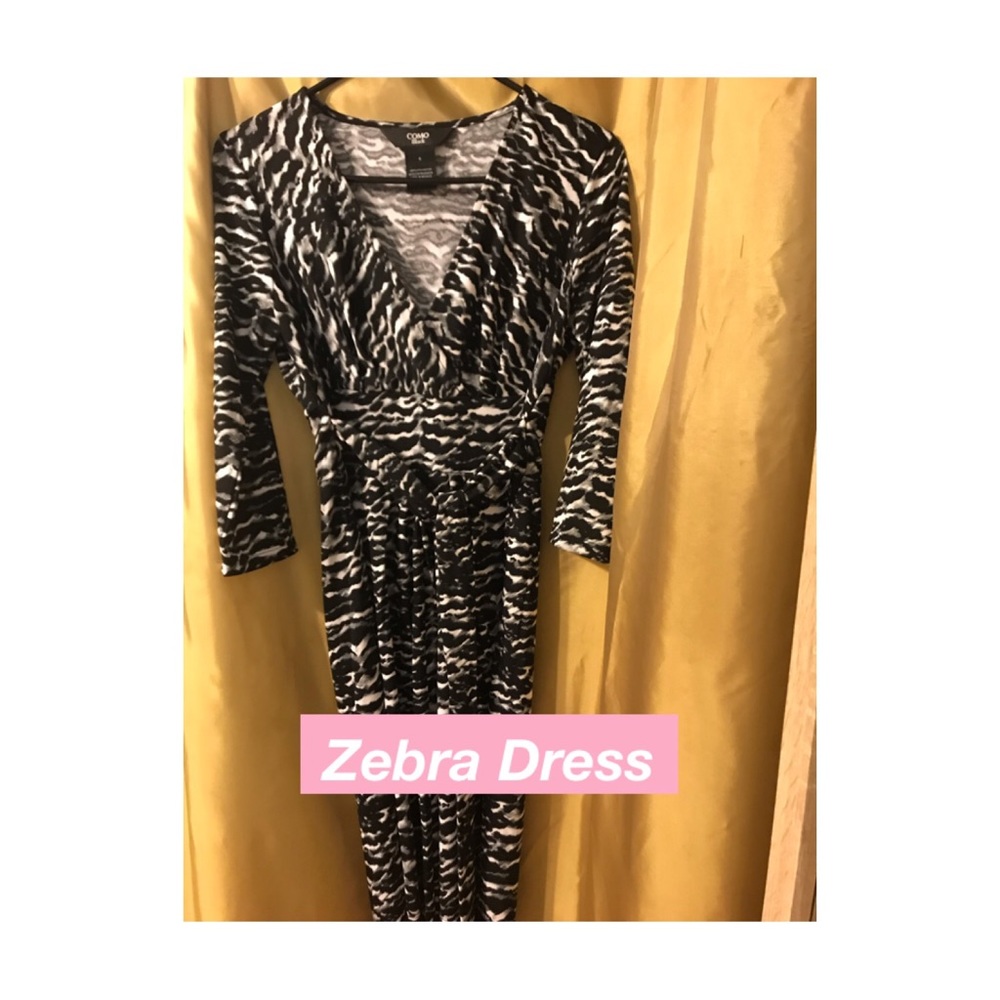 Combo Zebra Dress
